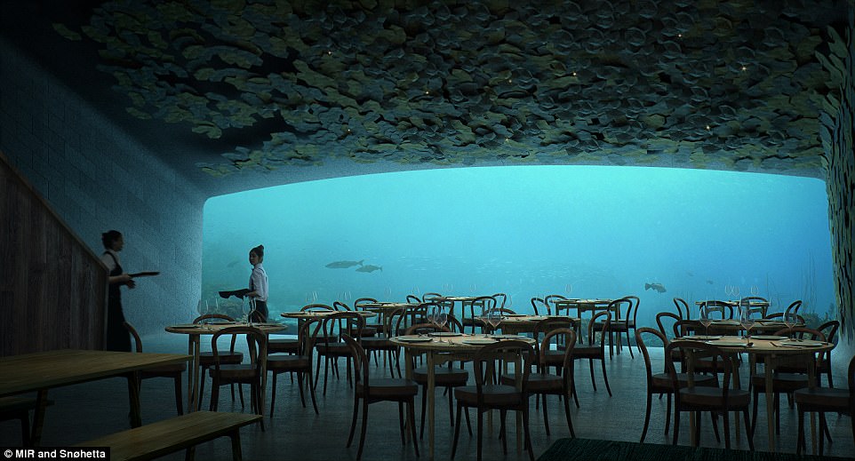 innotech ukraine:  First underwater restaurant in Europe to open in 2019